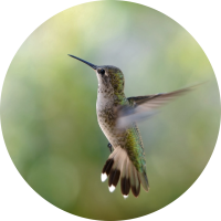 returning radiant module